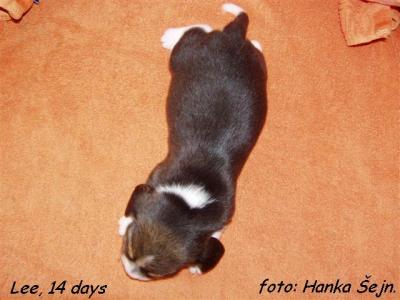 foto #54